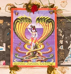 नागपञ्चमी आज: नागपूजासँगै चाडपर्वको मौसम सुरु