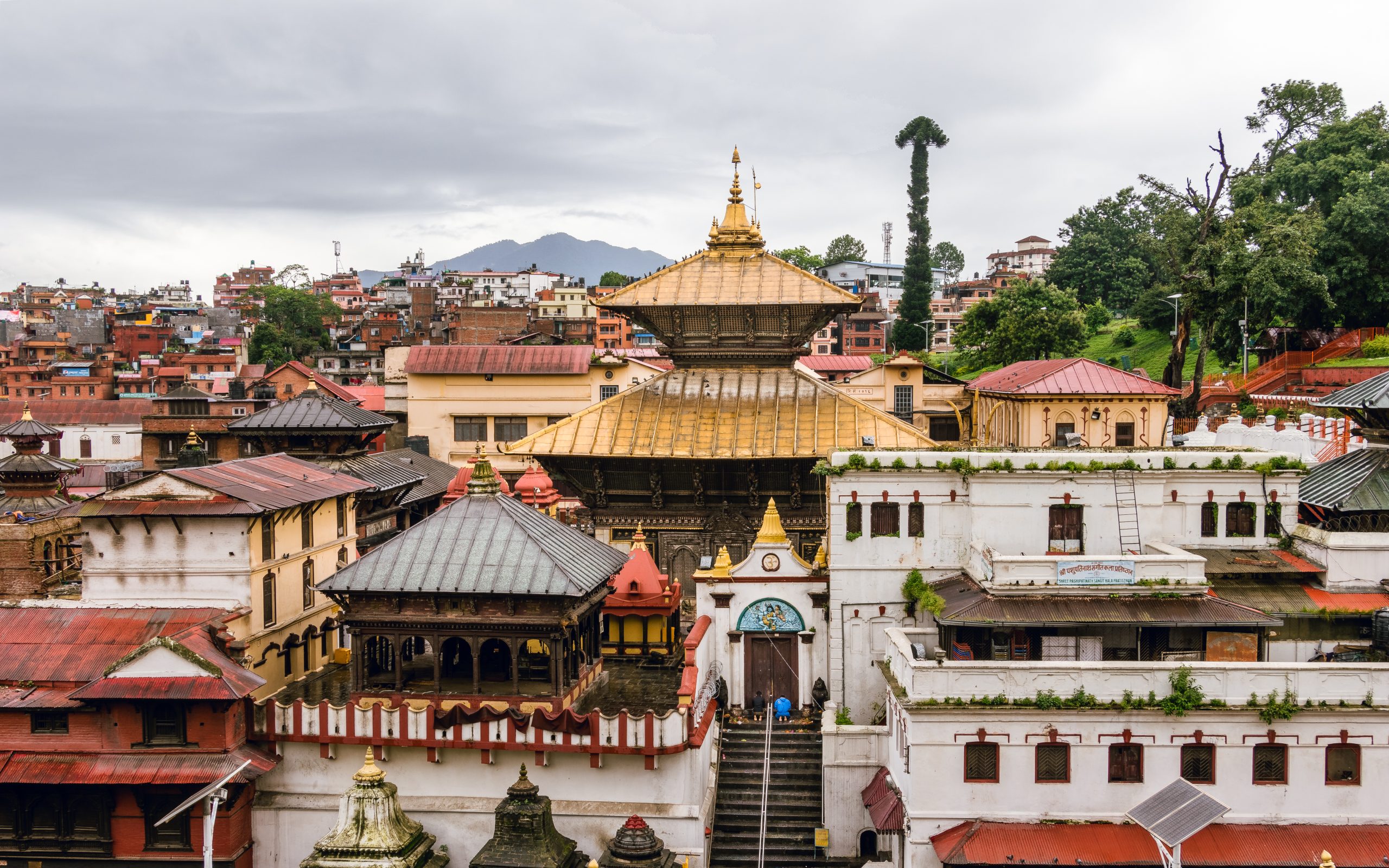 साउनको अन्तिम सोमबार : सोमप्रदोषको संयोग, शिवालयमा भक्तजनको घुइँचो